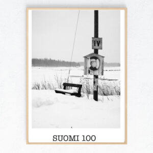 Suomi 100 juliste