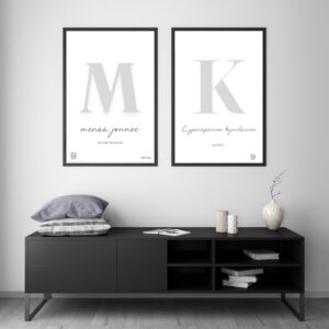 Minne mennää? juliste